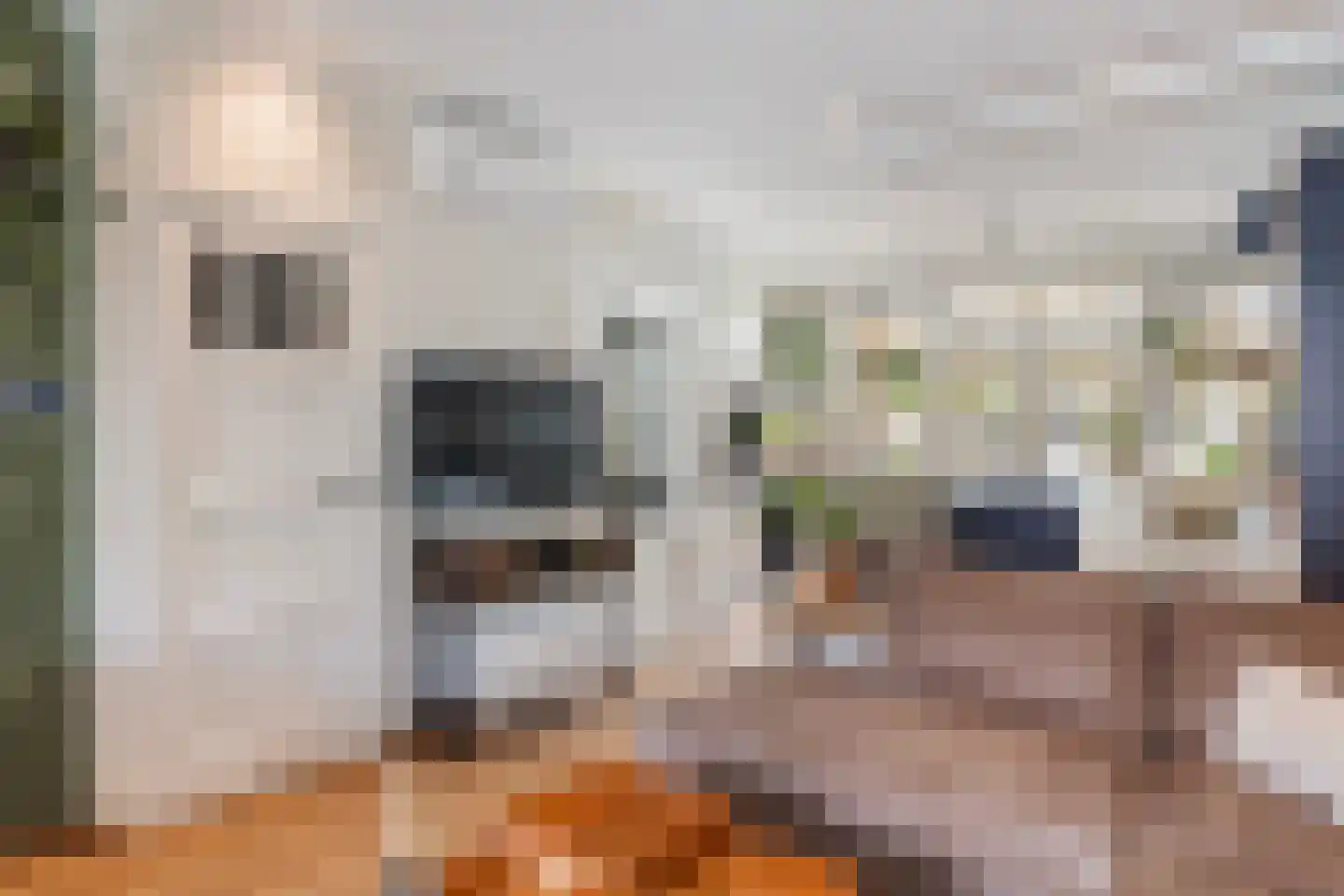 Vermeerstraat 11 Sliedrecht thumbnail 7