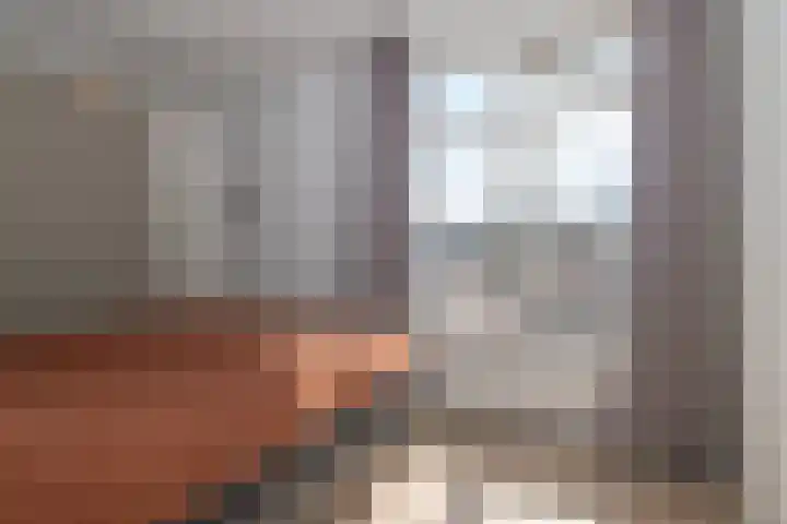 Vermeerstraat 11 Zoetermeer thumbnail 12