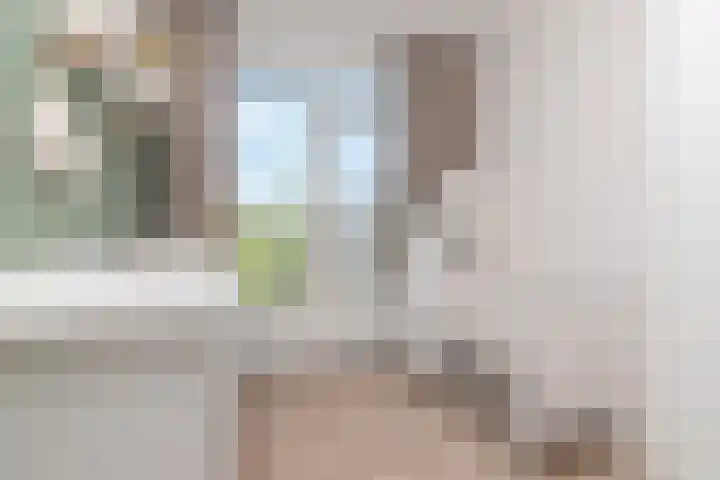 Vermeerstraat 11 Zoetermeer thumbnail 14