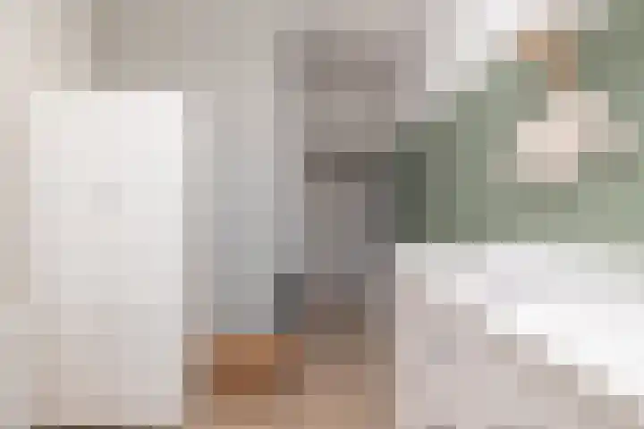 Vermeerstraat 11 Zoetermeer thumbnail 15