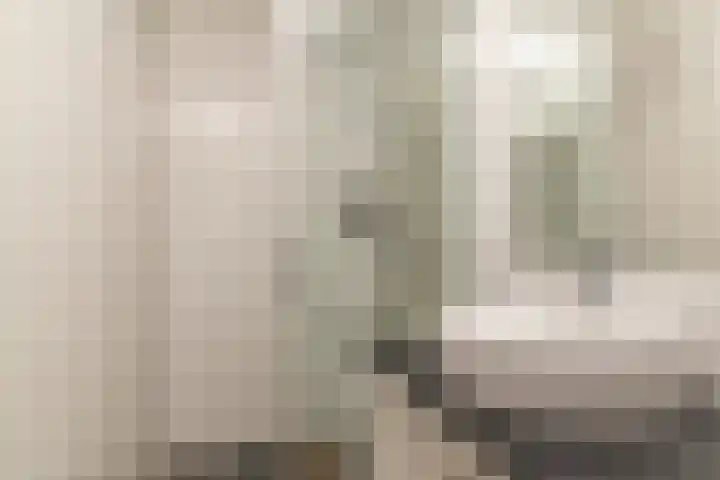 Vermeerstraat 11 Zoetermeer thumbnail 17