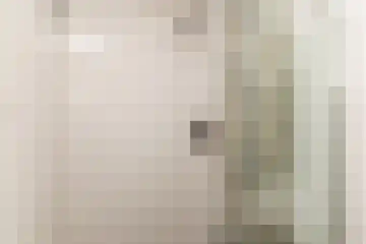 Vermeerstraat 11 Zoetermeer thumbnail 18