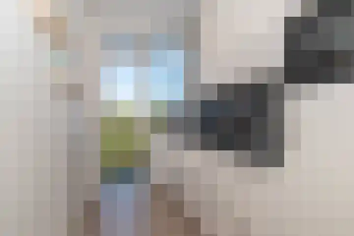 Vermeerstraat 11 Zoetermeer thumbnail 7
