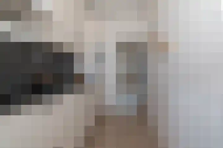 Vermeerstraat 11 Zoetermeer thumbnail 8