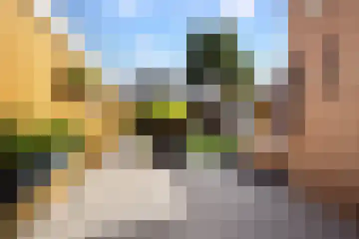 Vermeerstraat 12 Sprang-Capelle thumbnail 14