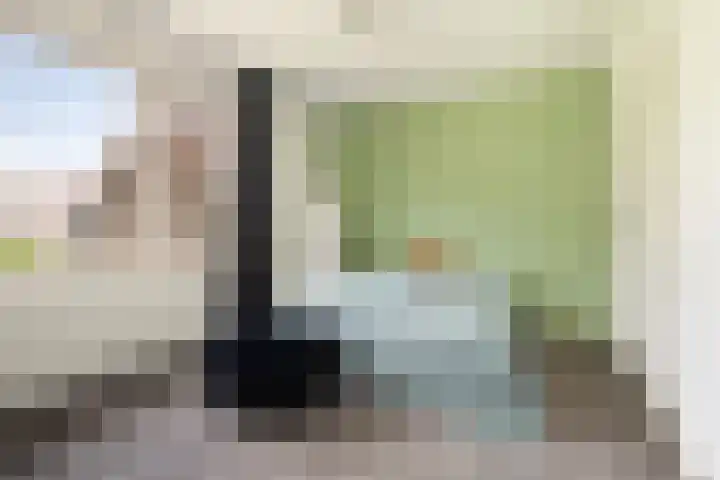 Vermeerstraat 12 Sprang-Capelle thumbnail 20