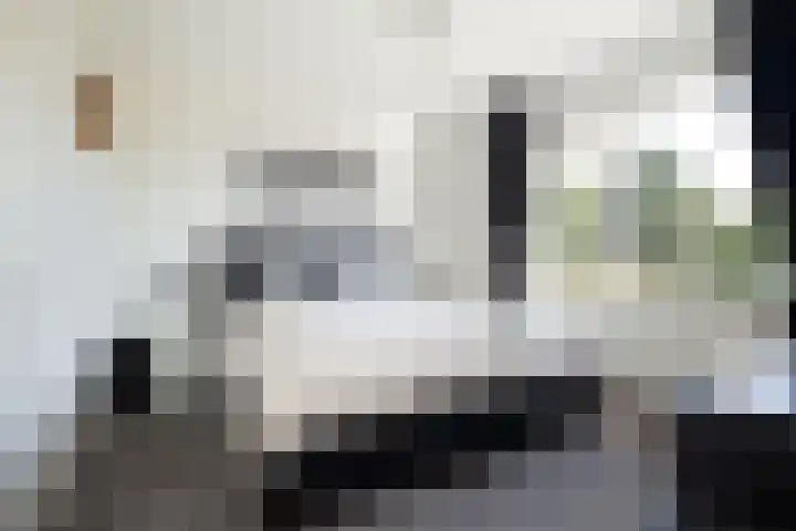 Vermeerstraat 12 Sprang-Capelle thumbnail 21