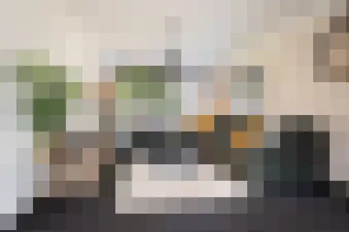 Vermeerstraat 12 Sprang-Capelle thumbnail 7