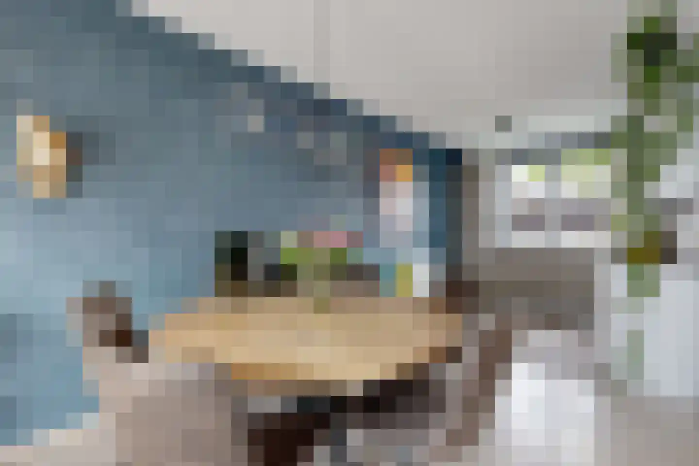 Vermeerstraat 13 Fijnaart thumbnail 22