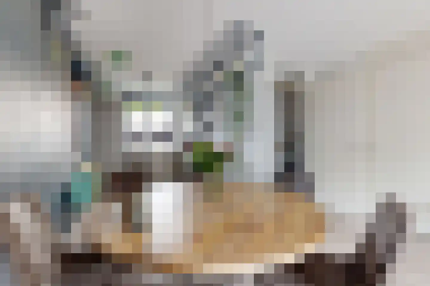 Vermeerstraat 13 Fijnaart thumbnail 23