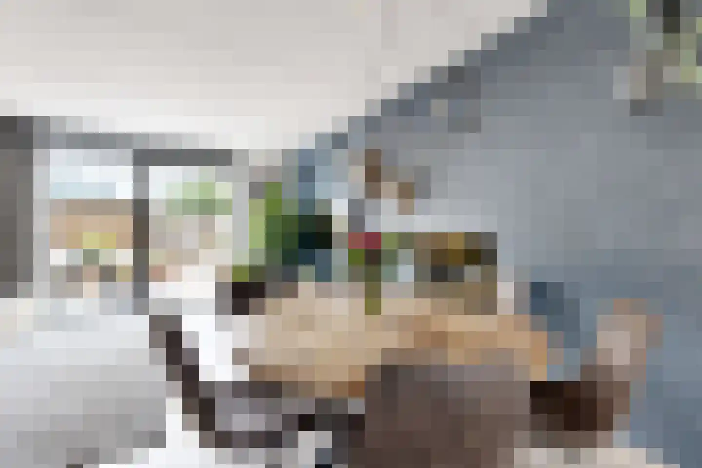 Vermeerstraat 13 Fijnaart thumbnail 24