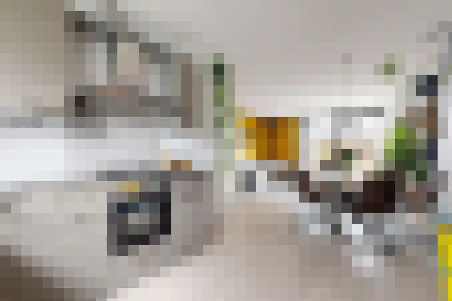 Vermeerstraat 13 Fijnaart thumbnail 29