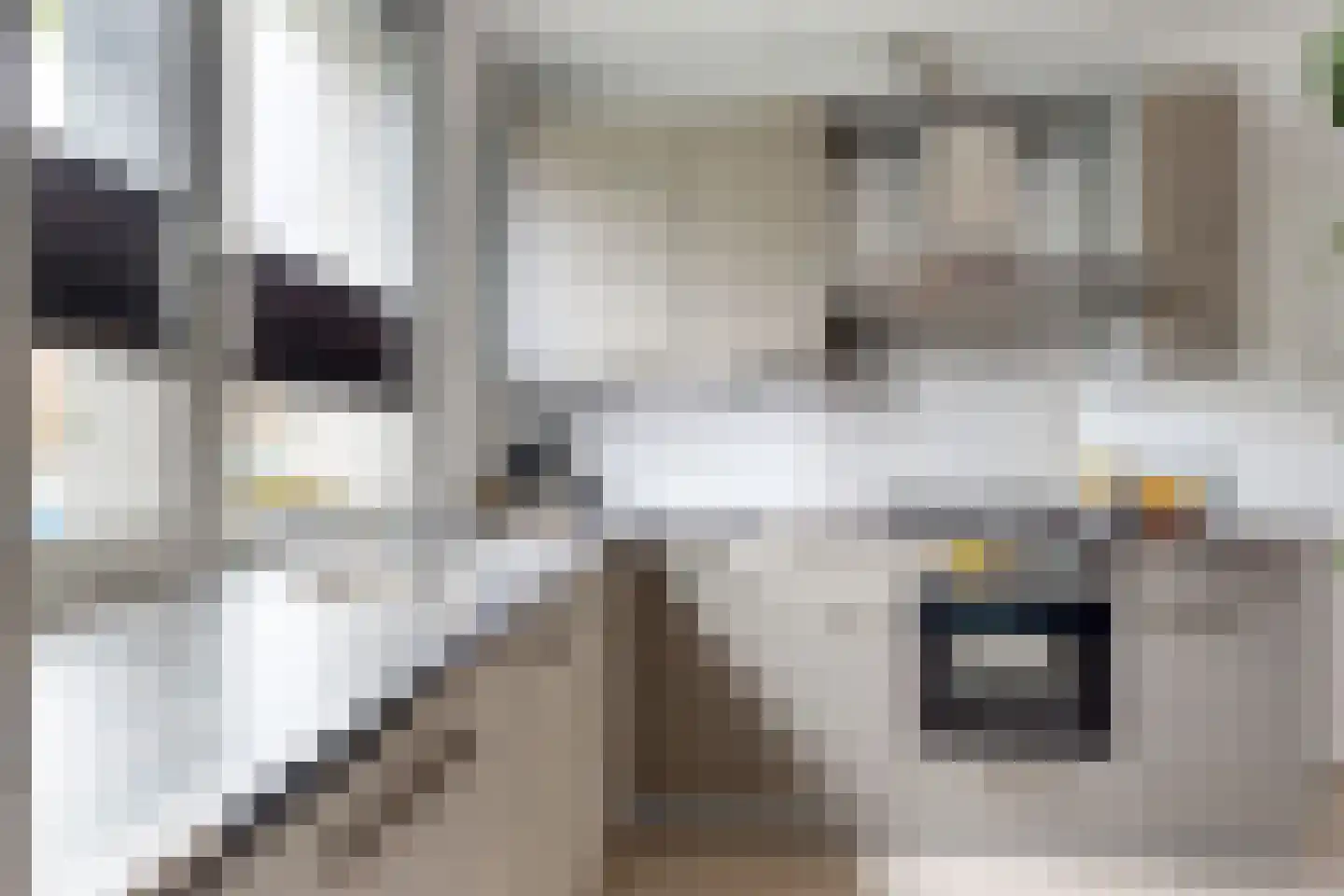 Vermeerstraat 13 Fijnaart thumbnail 30
