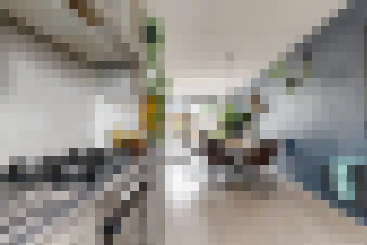 Vermeerstraat 13 Fijnaart thumbnail 31