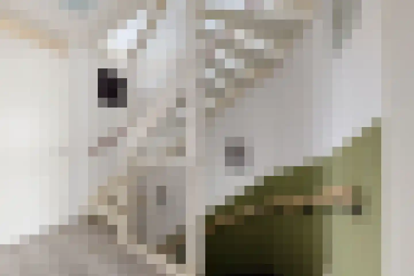 Vermeerstraat 13 Fijnaart thumbnail 33