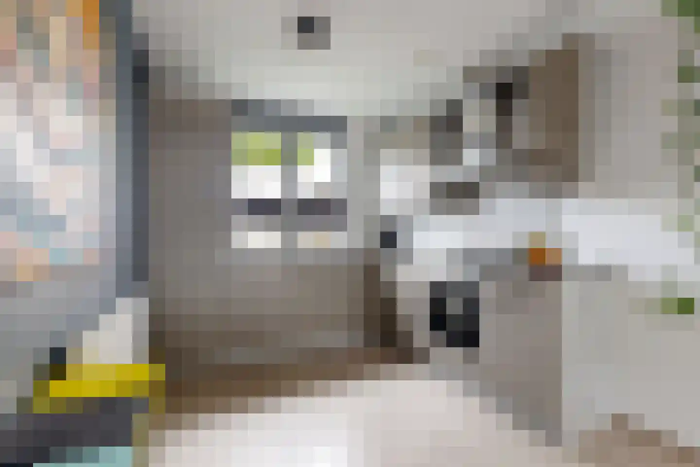 Vermeerstraat 13 Fijnaart thumbnail 4