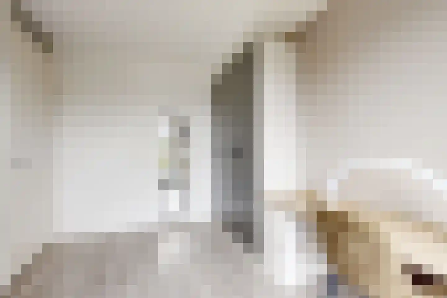 Vermeerstraat 13 Fijnaart thumbnail 45