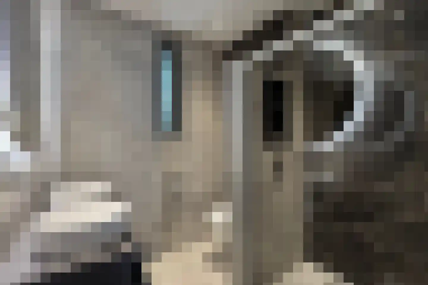 Vermeerstraat 13 Fijnaart thumbnail 46