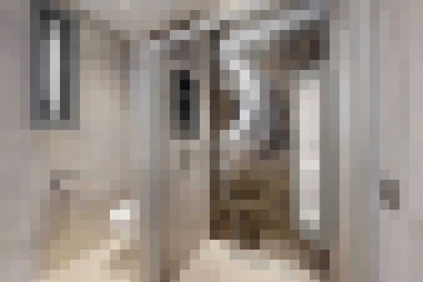 Vermeerstraat 13 Fijnaart thumbnail 47