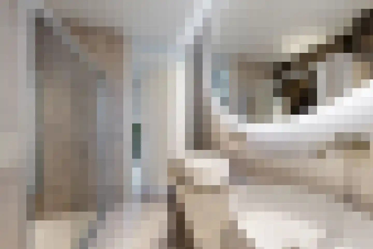 Vermeerstraat 13 Fijnaart thumbnail 51