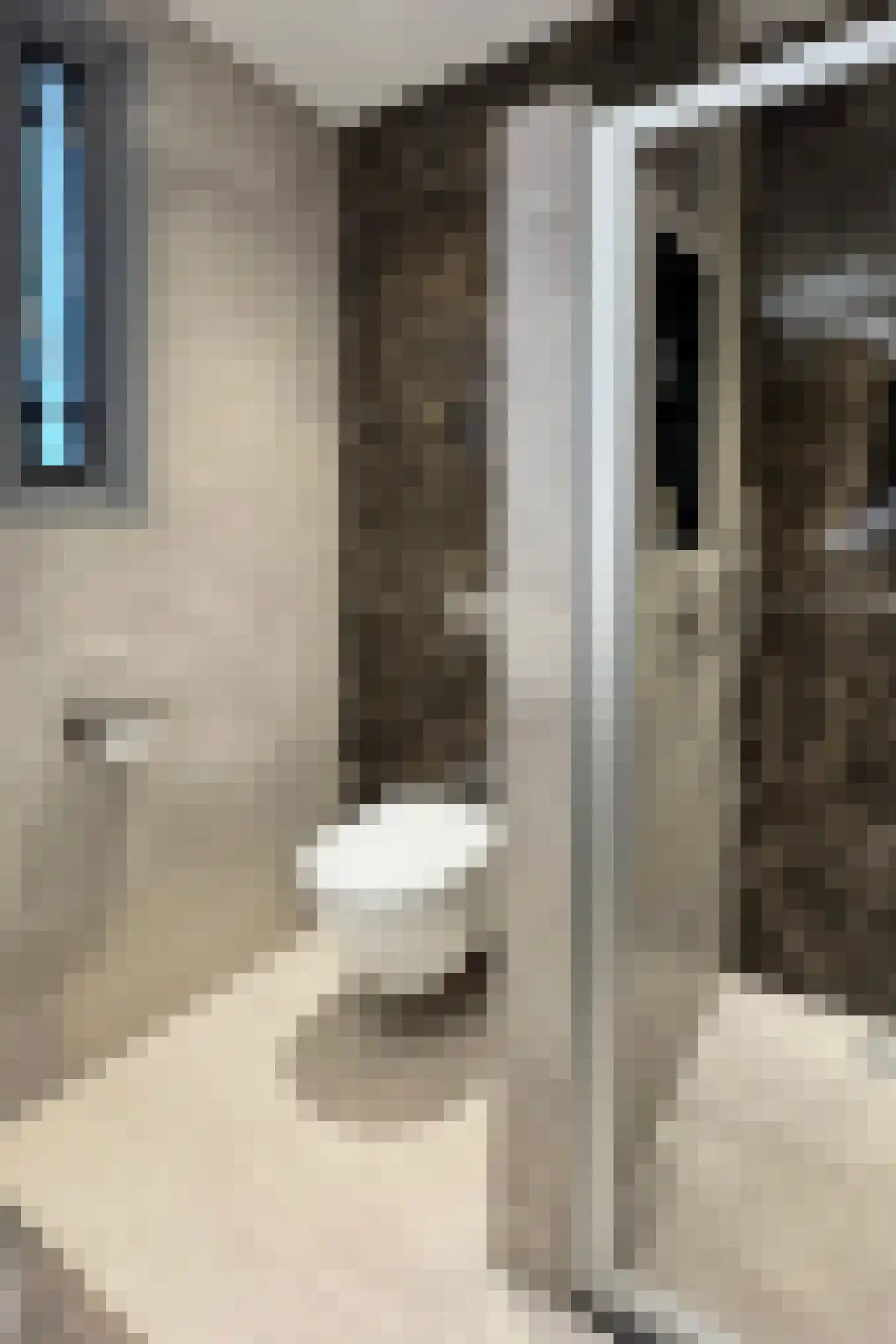Vermeerstraat 13 Fijnaart thumbnail 53