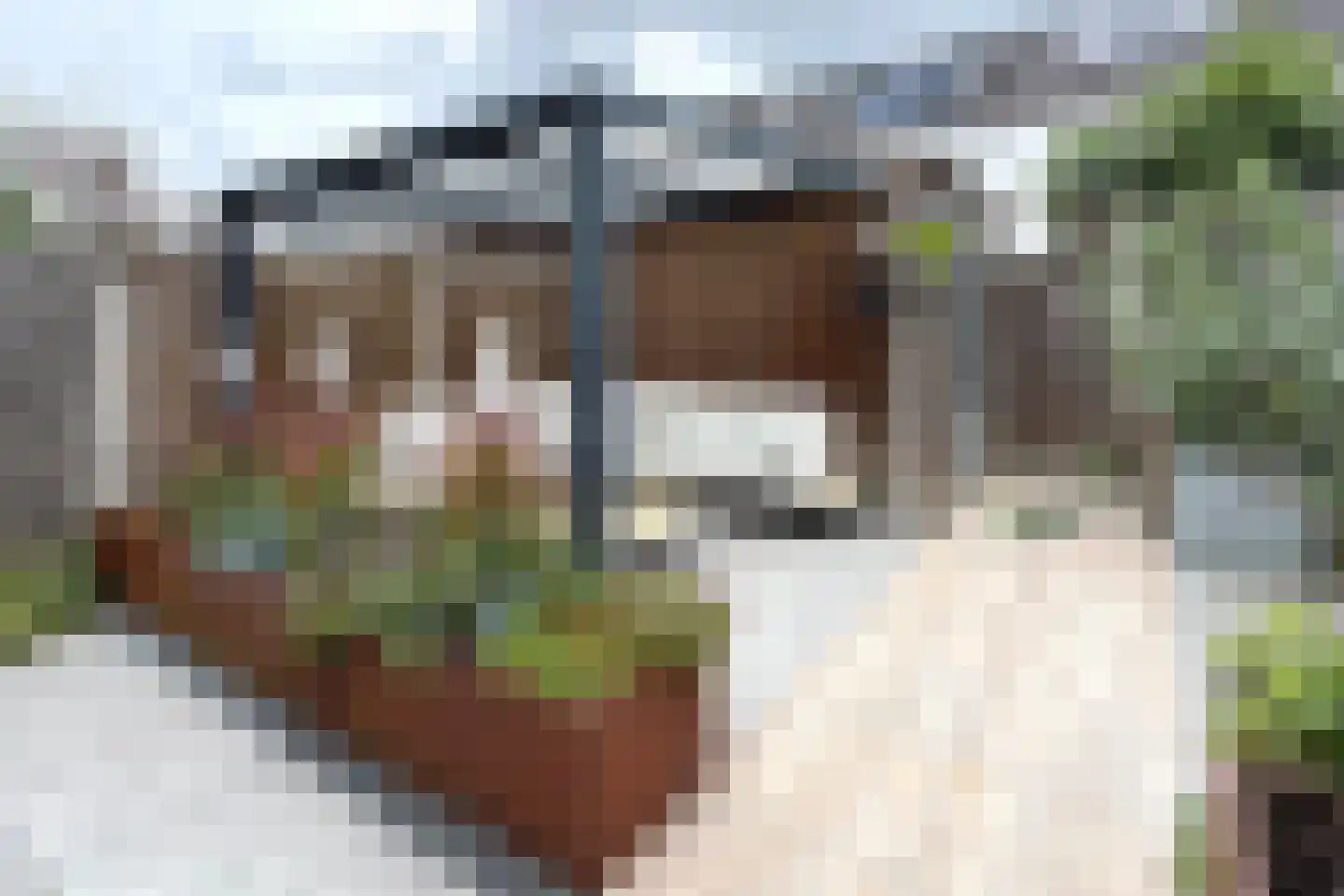 Vermeerstraat 13 Fijnaart thumbnail 63