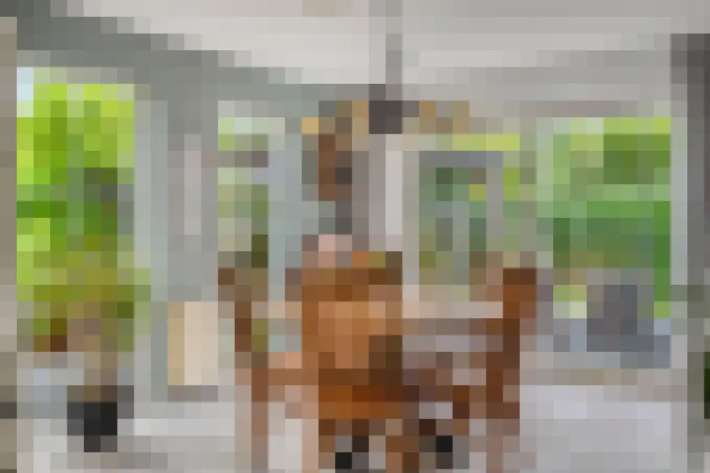 Vermeerstraat 14 Anna Paulowna thumbnail 12