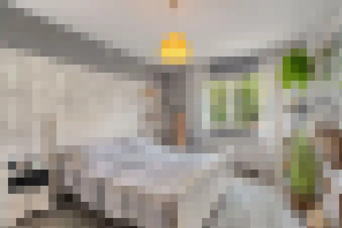 Vermeerstraat 14 Anna Paulowna thumbnail 18