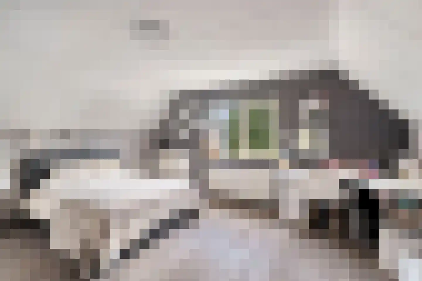 Vermeerstraat 14 Anna Paulowna thumbnail 27