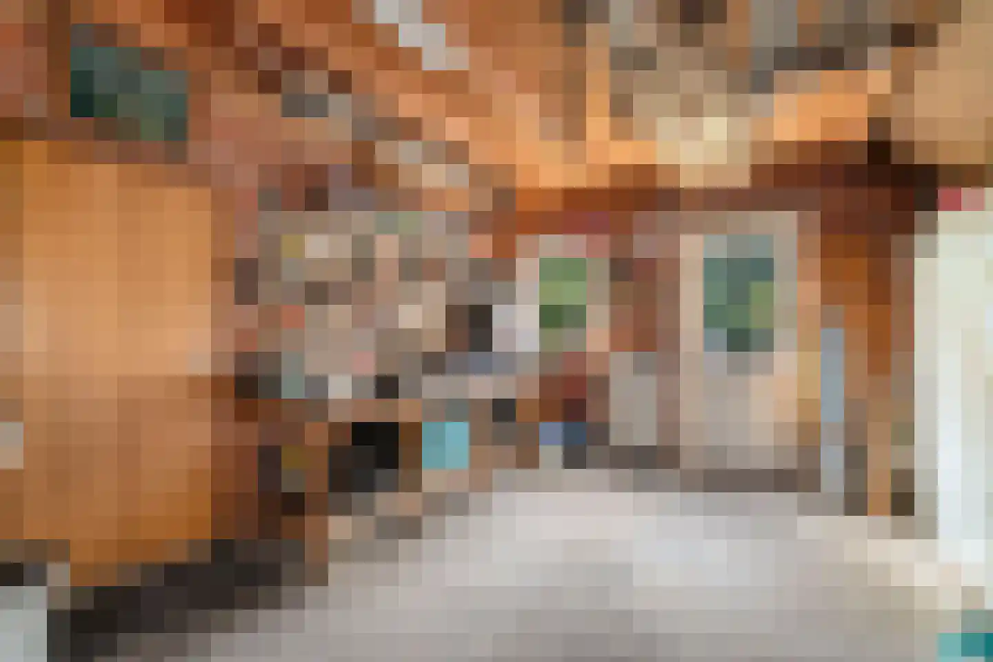 Vermeerstraat 14 Anna Paulowna thumbnail 33