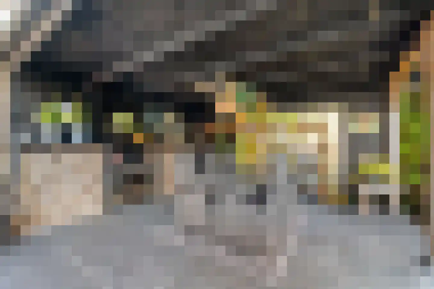 Vermeerstraat 14 Anna Paulowna thumbnail 36