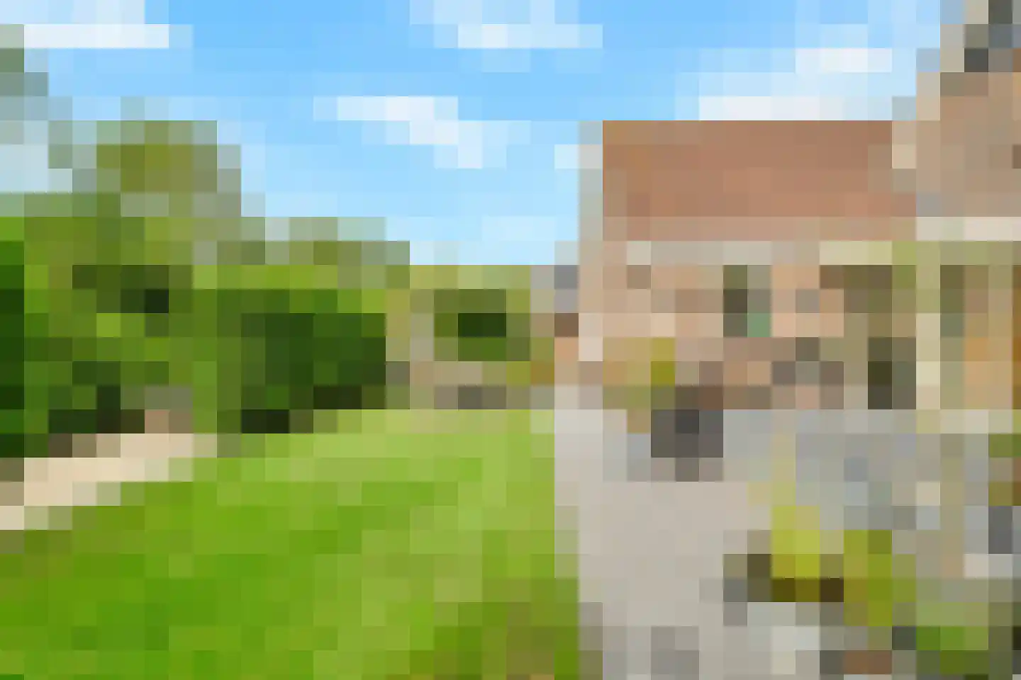 Vermeerstraat 14 Anna Paulowna thumbnail 37