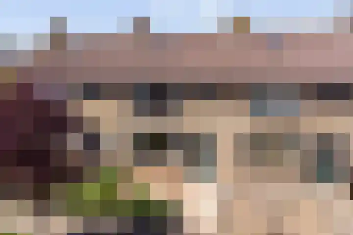 Vermeerstraat 14 Zaltbommel thumbnail 6