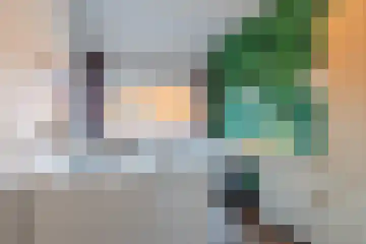 Vermeerstraat 17 Breda thumbnail 21