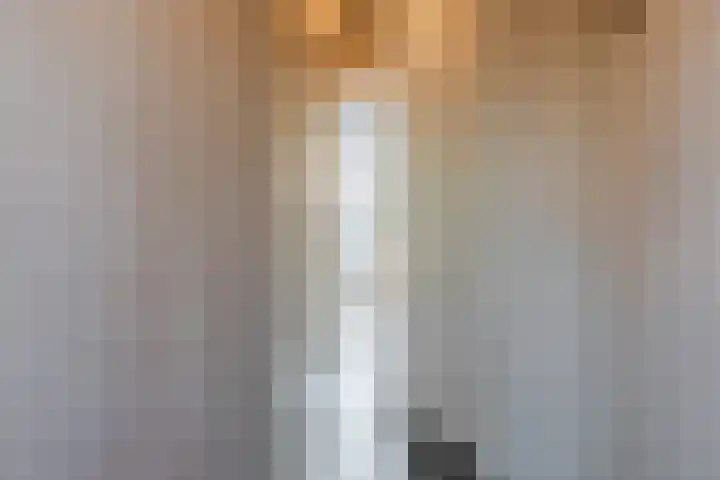 Vermeerstraat 17 Breda thumbnail 8