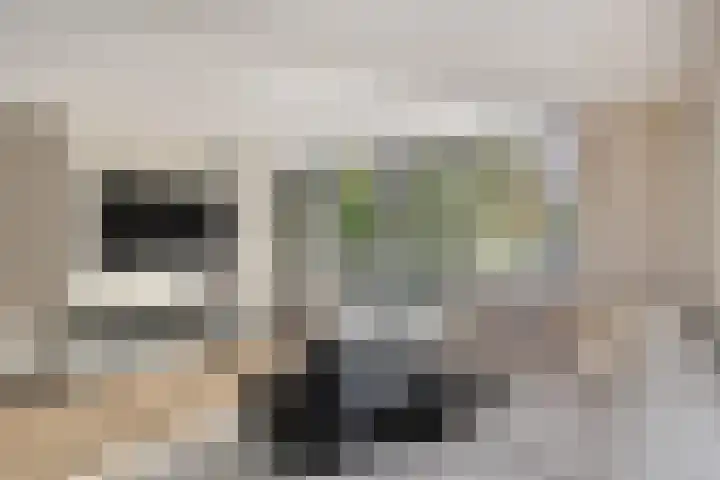 Vermeerstraat 18 Bleiswijk thumbnail 10
