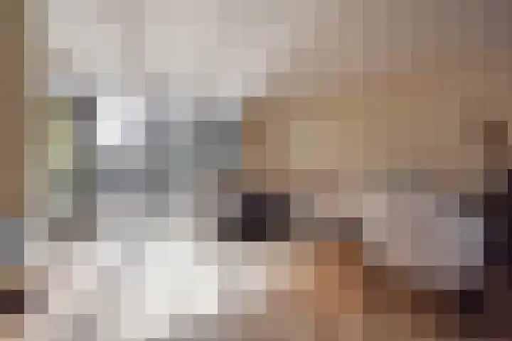 Vermeerstraat 18 Bleiswijk thumbnail 11