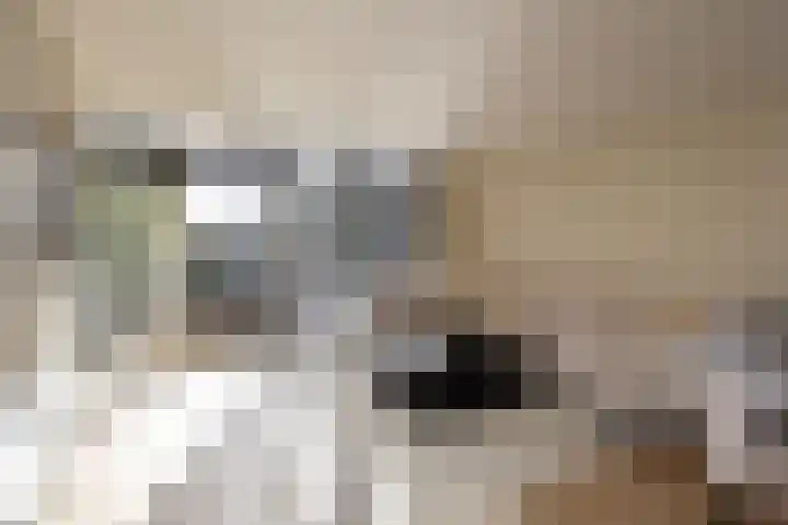 Vermeerstraat 18 Bleiswijk thumbnail 12