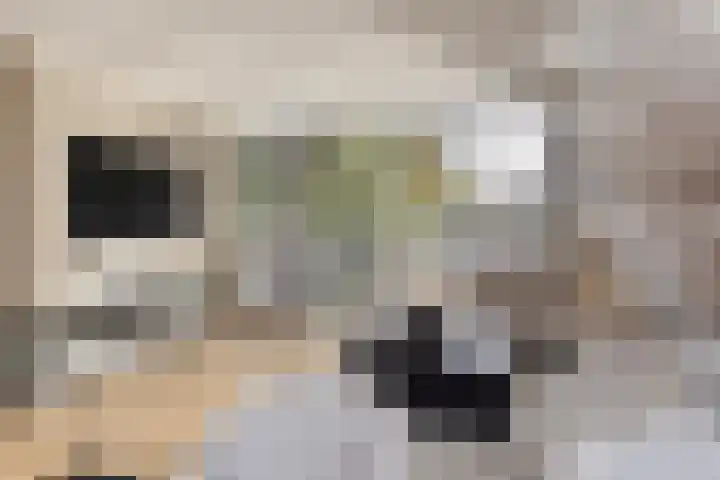 Vermeerstraat 18 Bleiswijk thumbnail 13