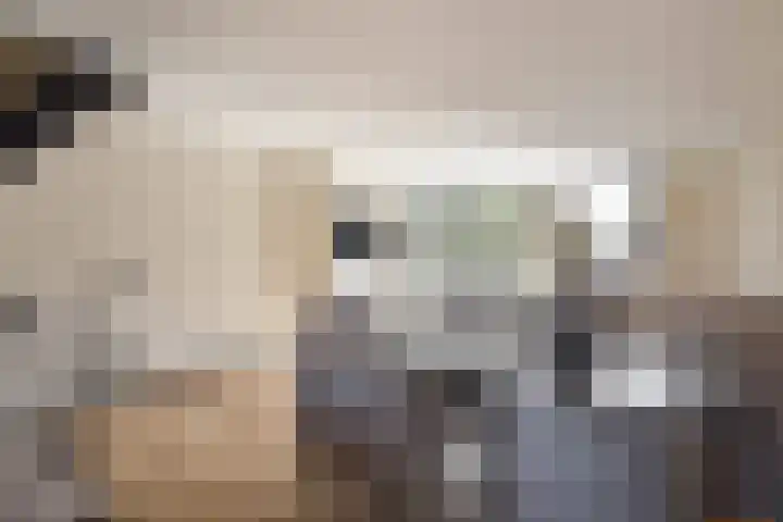 Vermeerstraat 18 Bleiswijk thumbnail 15