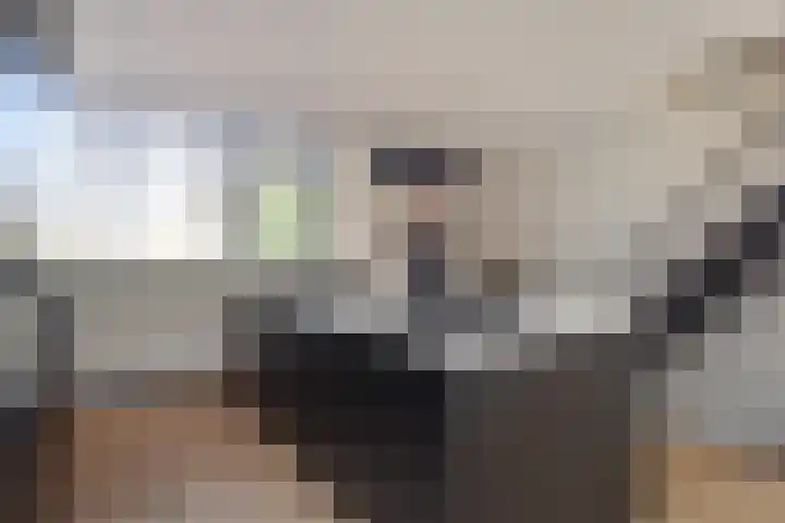 Vermeerstraat 18 Bleiswijk thumbnail 17