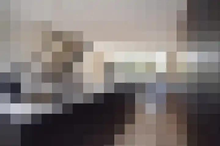 Vermeerstraat 18 Bleiswijk thumbnail 18