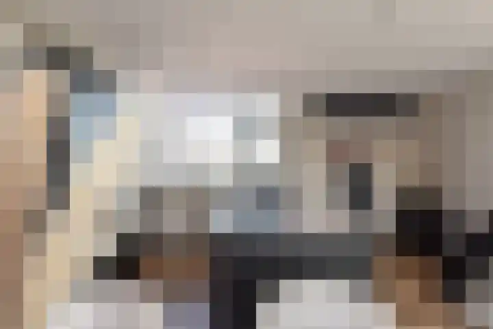 Vermeerstraat 18 Bleiswijk thumbnail 20