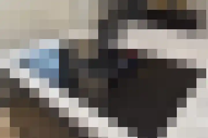 Vermeerstraat 18 Bleiswijk thumbnail 21
