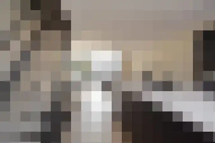 Vermeerstraat 18 Bleiswijk thumbnail 22