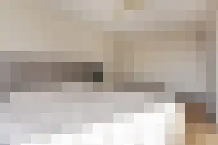 Vermeerstraat 18 Bleiswijk thumbnail 35