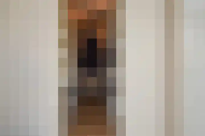Vermeerstraat 18 Bleiswijk thumbnail 39