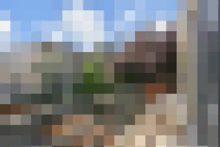 Vermeerstraat 18 Bleiswijk thumbnail 44
