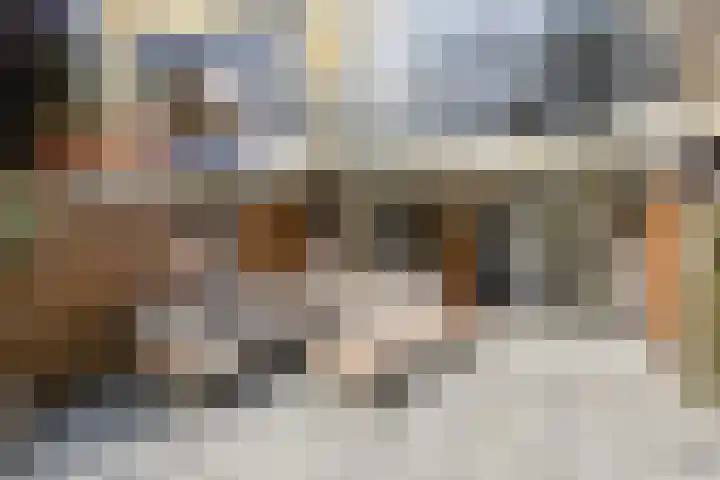 Vermeerstraat 18 Bleiswijk thumbnail 47