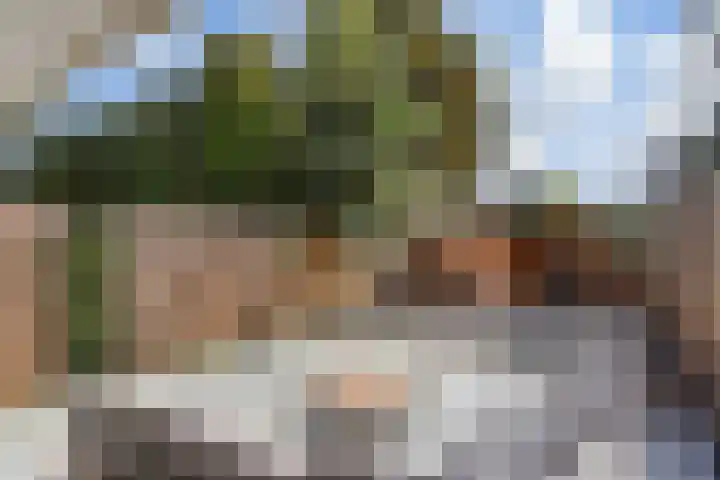 Vermeerstraat 18 Bleiswijk thumbnail 49